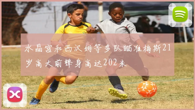 水晶宫和西汉姆等多队瞄准梅斯21岁高大前锋身高达202米